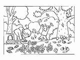 Kleurplaat Herfst Kleurplaten Boom Bomen Zoeken Kale Viento Tekenen Knutselen Mewarn15 Kindjes Lijn Colorear Egel sketch template