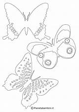 Farfalle Sagome Colorare Sagoma Ritagliare Semplici Pianetabambini sketch template