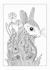 Rabbit Hare Rabbits Mandala Marchhare Coloringbay Dye Gcssi Treffpunkt Zeichen sketch template