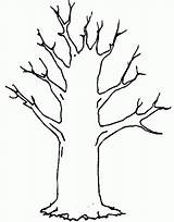 Trunk Trees Popular Coloringhome sketch template
