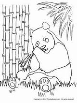 Panda Coloring Bamboo Pages Bear Printable Eating Drawing 33kb 300px Coloringbay Getdrawings Getcolorings sketch template