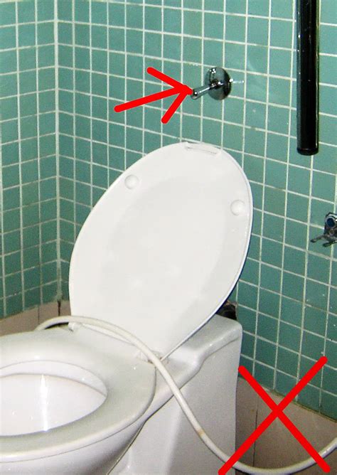 wheelchair access penang wapenang toilet wc  disabled people