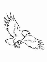 Bald Adler Ausmalbilder Ausdrucken Flying Aquila Calva Aquile Aguila Malvorlagen Kleurplaten Kinderbilder Vuelo Sorvola Zeearend Volo Dibujo Cartoon Stampare Scaricare sketch template