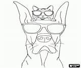Marmaduke Dane Hond Kleurplaat Kleurplaten Diversen Perro Gato Hund Katze sketch template