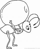 Ant Coloring Pages Kids Cartoon Drawing Ants Printable Picnic Cliparts Color Print Clipart Colonies Getcolorings Coloringbookfun Clipartmag Getdrawings Updated Choose sketch template