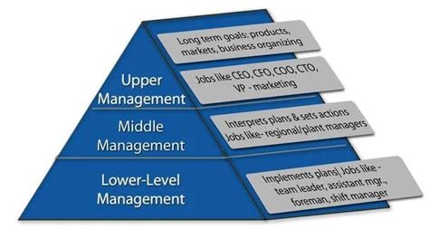 levels  organization management guru management guru
