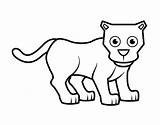 Panther Little Coloring Pages Coloringcrew Panthers sketch template