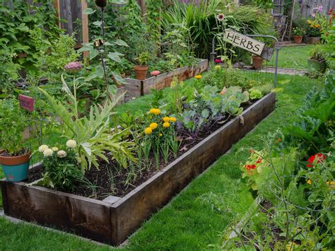 raised vegetable garden