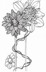Drawing Line Flower Drawings Simple Flowers Botanical Clip Dahlias Dahlia Floral Illustration Illustrations Sketches Coloring Getdrawings Nature sketch template