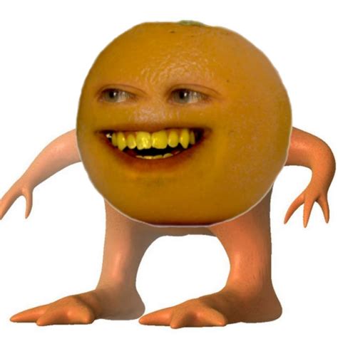 annoying orange  orange   meme