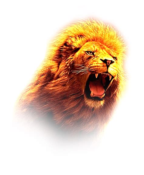 lion hd png image mutharaiyar network