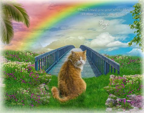 rainbow bridge pet memorial portrait painting bright  colorful