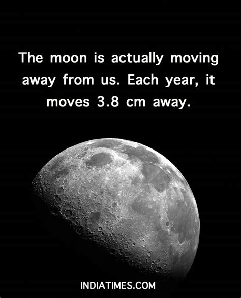 moon facts surprising facts   moon   bet