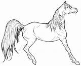 Mustang Horse Coloring Pages Printable Color Horses Getcolorings sketch template