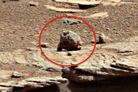 live groundhog spotted on mars says alien investigator metro news