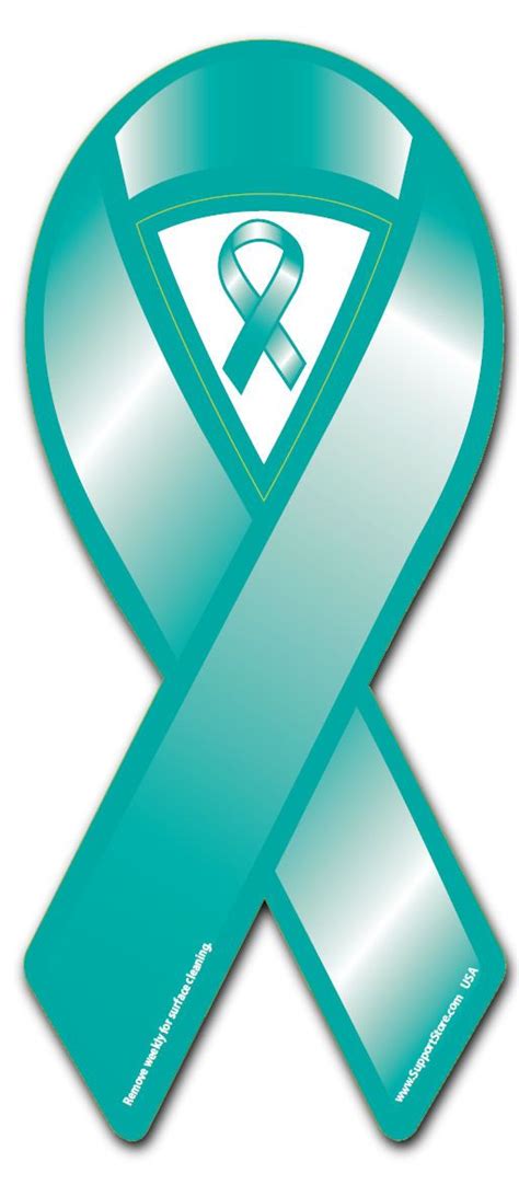 teal  awareness ribbon magnet brain injury awareness traumatic