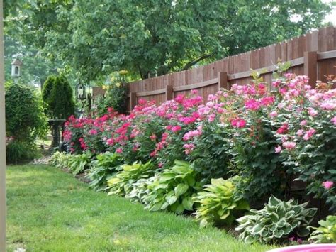 backyard privacy fence landscaping ideas   budget  side