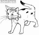 Ausmalbilder Katzen Dekoking Gefallene Wählen Spaß sketch template