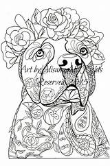 Coloring Pages Pitbull Dog Dogs Adults Puppy Tattoo Bull Christmas Pit Cry Smile Later Now Skull Books Sled Adult Sugar sketch template