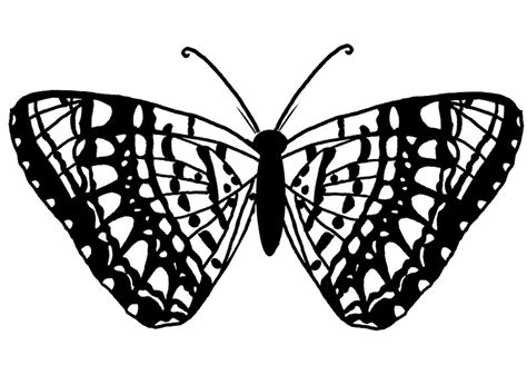 monarch butterfly coloring pages  coloring pages
