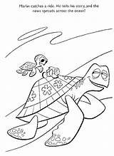 Nemo Procurando Findet Dory Buscando Luzak Druku Catches Tortuga żółw Marlin Coloriages sketch template