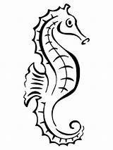 Seahorse Coloring Outline Pages Tattoo Line Drawing Sea Horse Baby Static Printable Template Print Tattooimages Biz Fish Color Clipartmag Getcolorings sketch template
