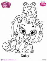 Coloring Pets Palace Disney Princess Daisy Skgaleana Pages Deviantart Pet Printables sketch template