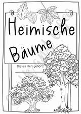 Herbarium Deckblatt Biologie Inhaltsverzeichnis Heimische sketch template