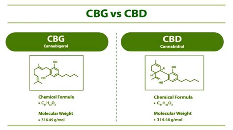 cbg vs cbd differences benefits effects and more