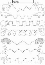 Writing Preschool Grafomotricidad Preescolar Para Worksheets Animal Teachinabox Au Australian sketch template