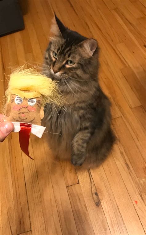 trump head cat toy etsy