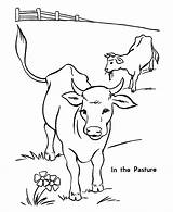 Cow Coloring Pages Printable Kids Cows Pasture sketch template