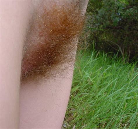 gbrhwhp4 03 porn pic from ginger bush redheads with hairy pussies 4 sex image gallery