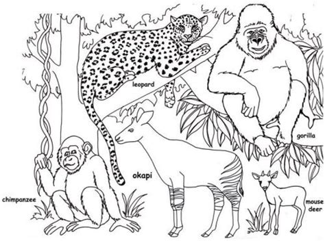 jungle coloring pages printable animal coloring pages jungle