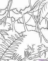 Jungle Coloring Scene Pages Drawing Rainforest Animals Forest Easy Getcolorings Step Rare Animal Printable Plants sketch template