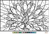 Peacock Número Pavo Dibujar Colorir Advanced sketch template