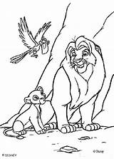 Simba Coloring Lion Mufasa Pages King Zazu Color Print Online Roi Le Hellokids Book Disney sketch template