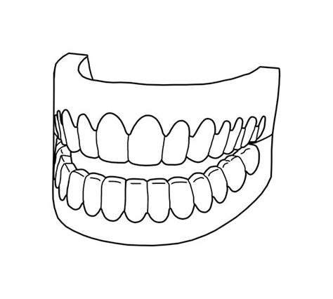 picture  full teeth  dental health coloring page color luna