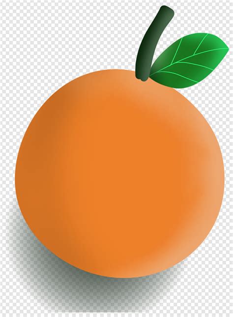 gambar buah jeruk  daun png  gratis gambarpngid