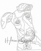 Greyhound Coloring sketch template
