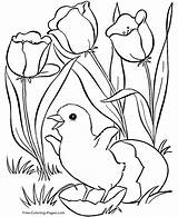 Spring Coloring Pages Book sketch template