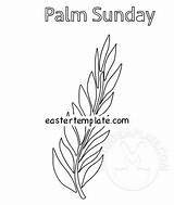 Palm Coloring Branch Tree Sunday sketch template