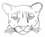 Cougar Coloring Pages Mountain Lion Easy Drawing Print Adult Color Printable Animal Kids Panther Paw Getcolorings Adults Dorable Getdrawings Library sketch template