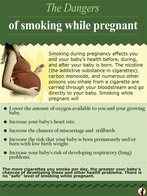 The Dangers Of Smoking While Pregnant Infographic Follow Us On