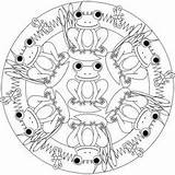 Frosch Kaulquappe Mandalas Ausdrucken Kinderzeichnungen Malvorlagen Frösche sketch template