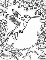 Coloring Hummingbird Pages Flowers Coloring4free Leaves Printable Related Posts sketch template