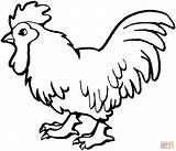 Chicken Drawing Line Coloring Pages Getdrawings Draw sketch template