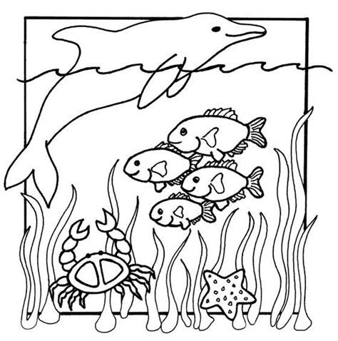 animal coloring pages  ocean animals coloring home