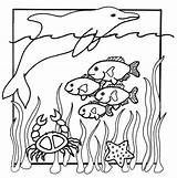 Coloring Animals Pages Ocean Animal Sea Popular sketch template