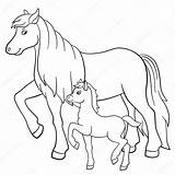 Cavallo Animali Puledro Fattoria Depositphotos Grafica Illustrazione sketch template
